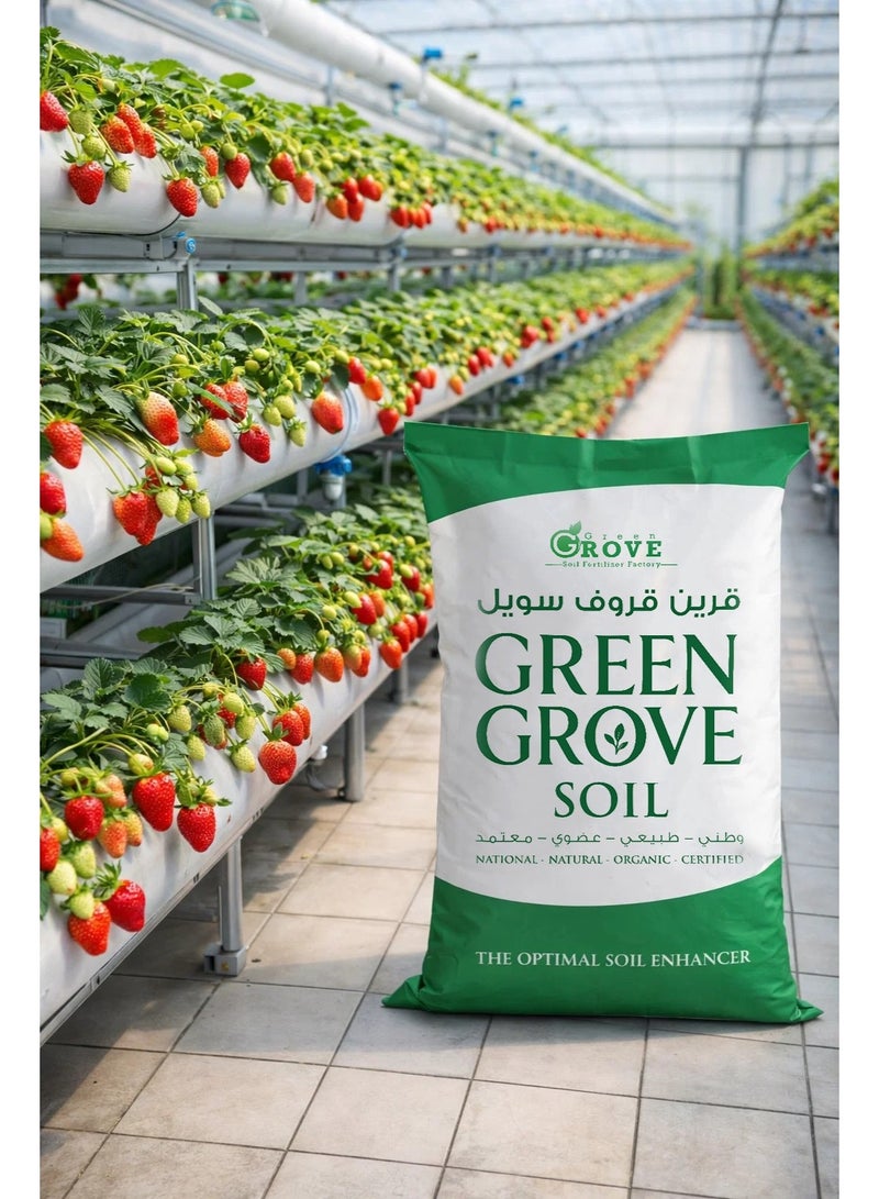 Green grove soil for agriculture - Image 4
